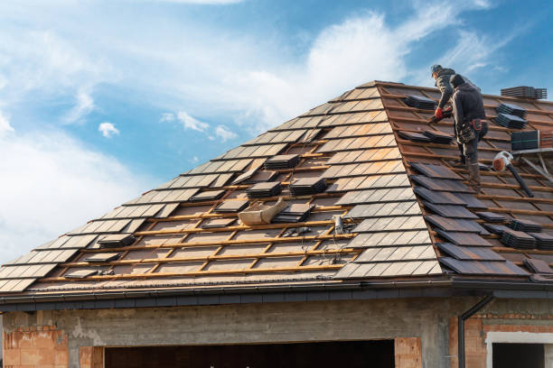 Best Roof Maintenance and Cleaning  in Summit, IL